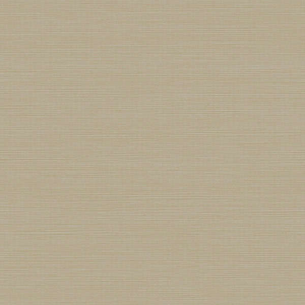 Флизелиновые обои Antonina Vella Dazzling Dimentions II York Wallcoverings Y6200906