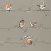 Флизелиновые обои Standing Ovation Harlequin 111485