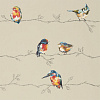 Флизелиновые обои Standing Ovation Harlequin 111486