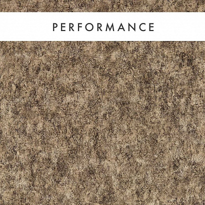 Флизелиновые обои Expressions Performance Wallcoverings Clarke&Clarke W0208/03