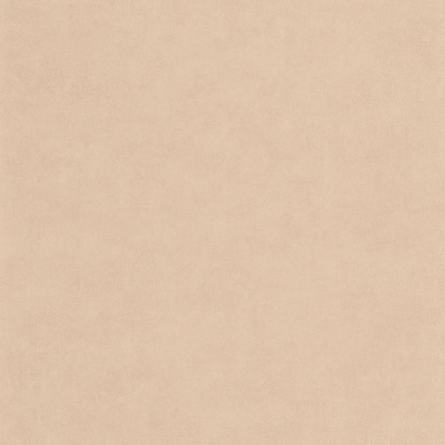 Виниловые обои Leathers Casadeco LEAT87131311