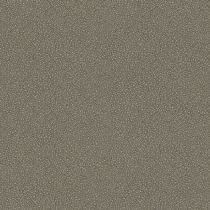 Флизелиновые обои Curio Cole & Son 107/9043