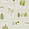 Флизелиновые обои Woodland Walk Sanderson 215712