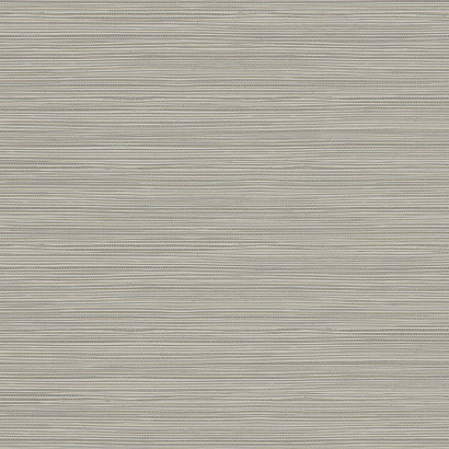 Виниловые обои Geotex Wallquest BW40916