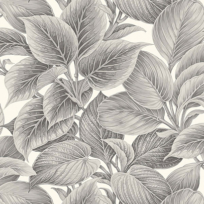 Виниловые обои Shades of White Paper&Ink WS70318