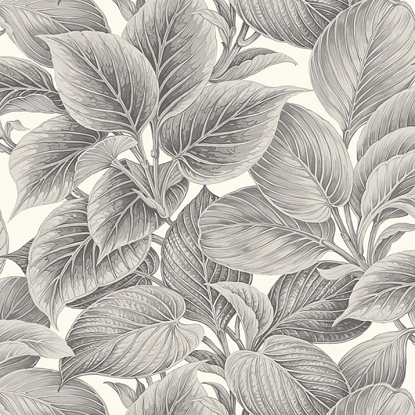 Виниловые обои Shades of White Paper&Ink WS70318