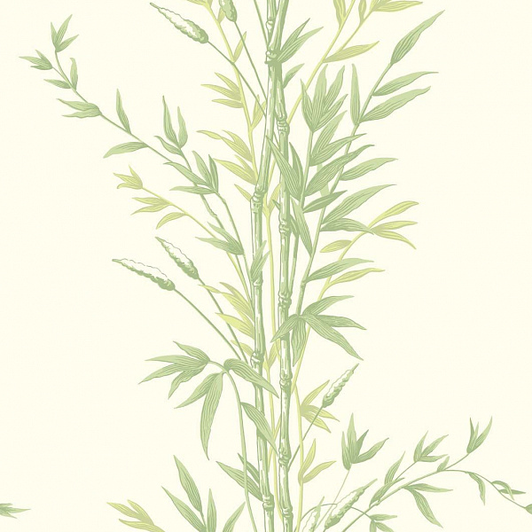 Флизелиновые обои Archive Anthology Cole & Son 100/5023
