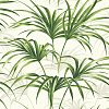 Виниловые обои Maui Maui Wallquest TP80610