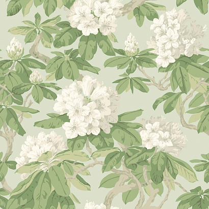 Флизелиновые обои Folie Cole & Son 99/4022