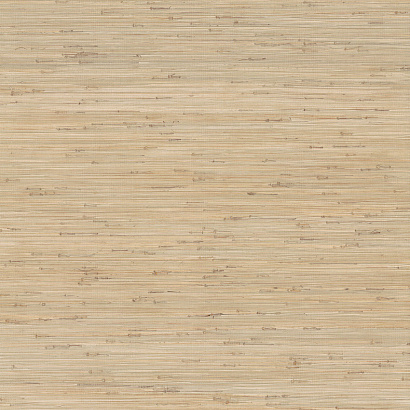 Флизелиновые обои Ronald Redding Grasscloth & Natural Resource  York Wallcoverings GV0231