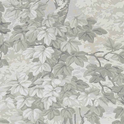 Флизелиновые обои Darnley Wallpapers Zoffany 312856