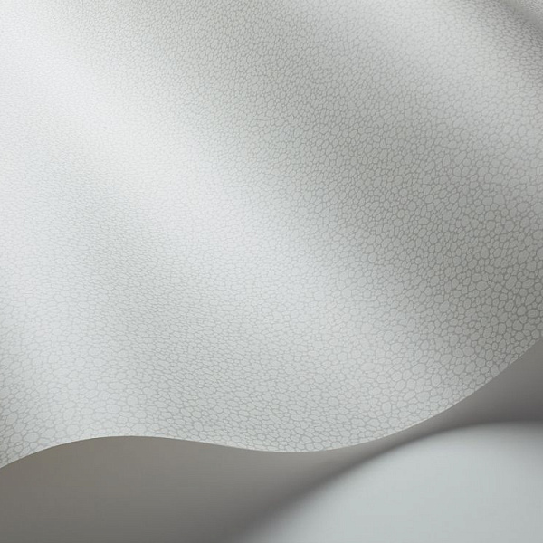 Флизелиновые обои Landscape Plains Cole & Son 106/2017