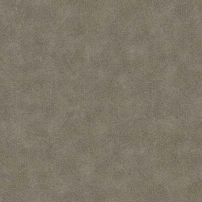 Виниловые обои Woods Casadeco 26219128