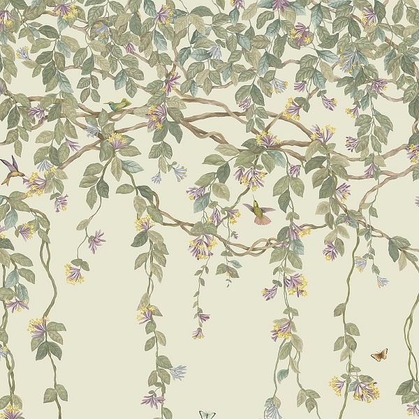 Флизелиновые обои Selection of Hummingbirds Cole & Son 124/2013