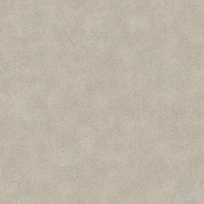 Виниловые обои So Color 5 Casadeco 26211204