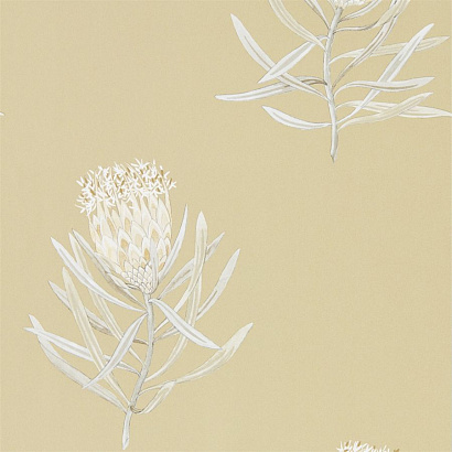 Флизелиновые обои Art Of The Garden Sanderson 216331