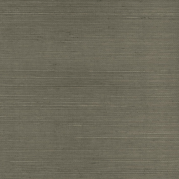 Виниловые обои Specialty Grasscloths&Veneers Paper&Ink SY21828