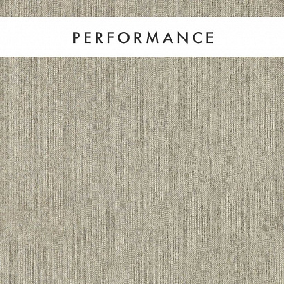 Флизелиновые обои Expressions Performance Wallcoverings Clarke&Clarke W0212/02