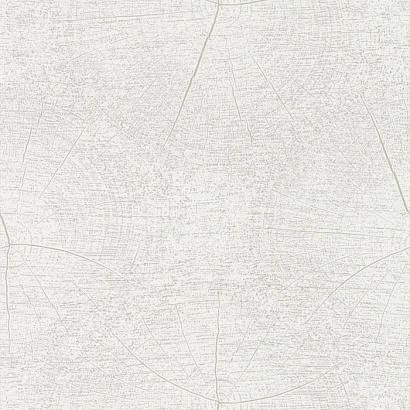 Флизелиновые обои So White 4 Casadeco SWHT83760101