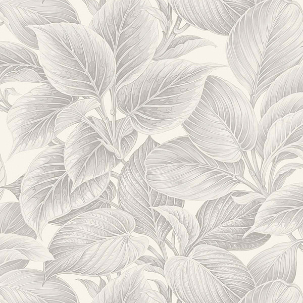 Виниловые обои Shades of White Paper&Ink WS70308
