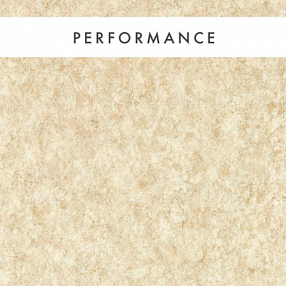 Флизелиновые обои Expressions Performance Wallcoverings Clarke&Clarke W0208/07