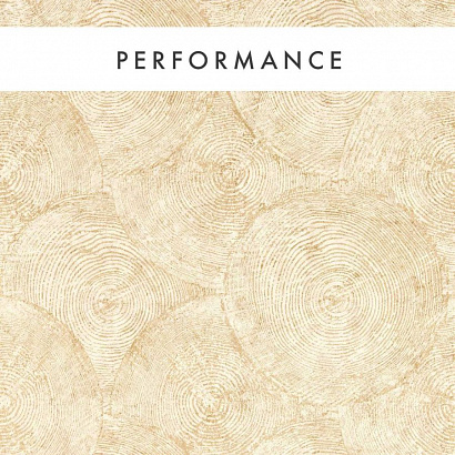 Флизелиновые обои Expressions Performance Wallcoverings Clarke&Clarke W0209/05