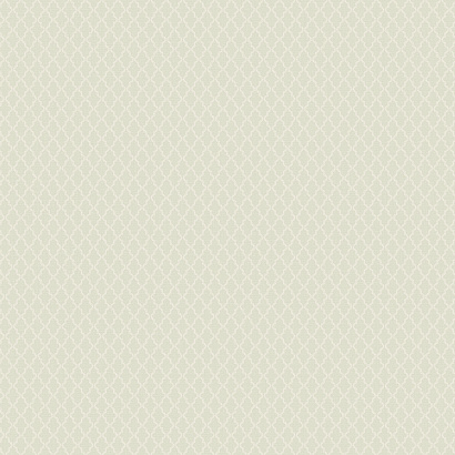 Флизелиновые обои Загадочный лес IMG12 005/5