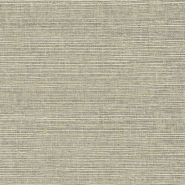 Виниловые обои Specialty Grasscloths&Veneers Paper&Ink NS51805