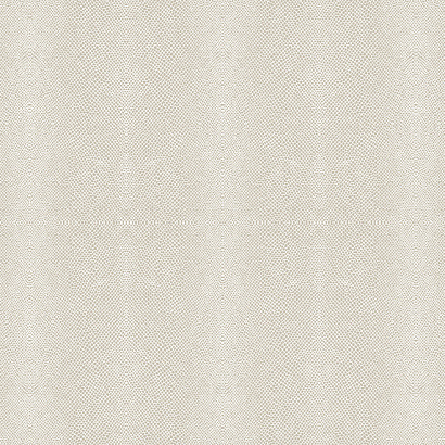 Флизелиновые обои Animalier KT Exsclusive AN624