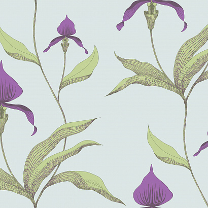 Флизелиновые обои New Contemporary Cole & Son 66/4027