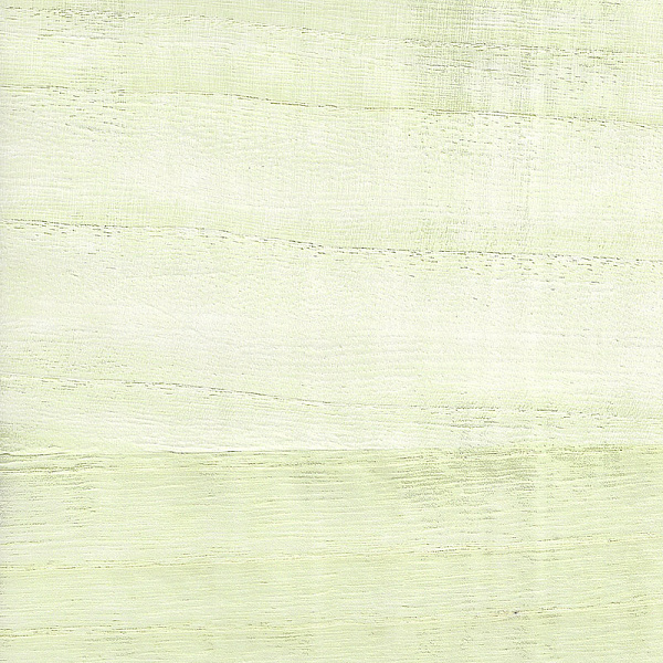 Виниловые обои Specialty Grasscloths&Veneers Paper&Ink NS52103
