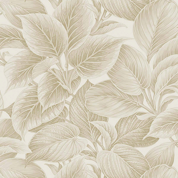 Виниловые обои Shades of White Paper&Ink WS70305