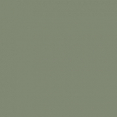Флизелиновые обои Ambiplain 2 / Эмбиплейн 2 Milassa AM3 018/2