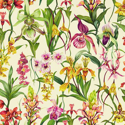 Флизелиновые обои Colour 4 Harlequin 113009