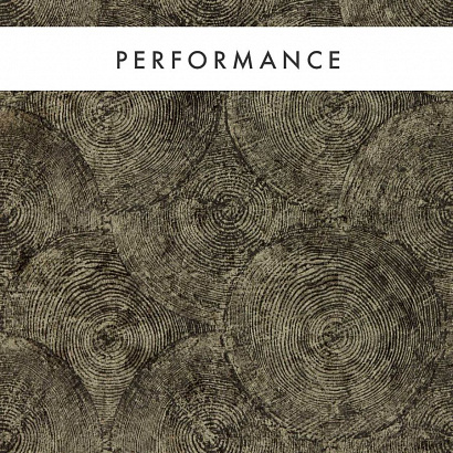 Флизелиновые обои Expressions Performance Wallcoverings Clarke&Clarke W0209/01