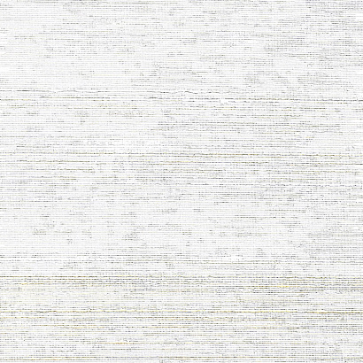 Виниловые обои Specialty Grasscloths&Veneers Paper&Ink NS52005W