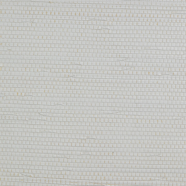 Виниловые обои Specialty Grasscloths&Veneers Paper&Ink WP21406
