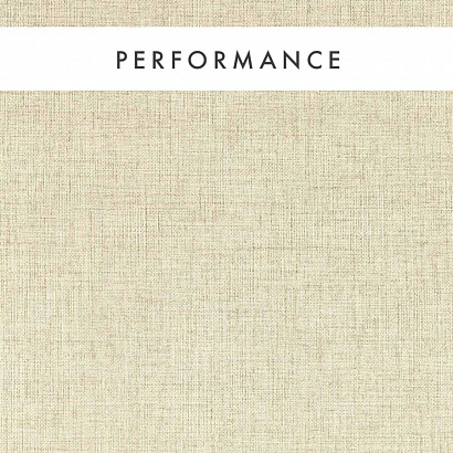 Флизелиновые обои Expressions Performance Wallcoverings Clarke&Clarke W0210/03