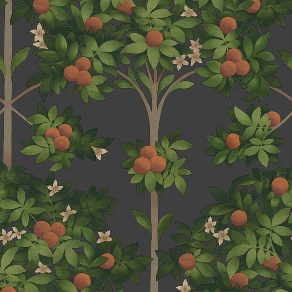Флизелиновые обои Seville Cole & Son 117/1003