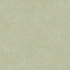 Виниловые обои So Color 5 Casadeco 26217010