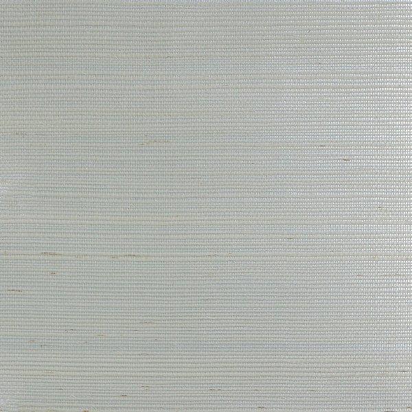 Виниловые обои Specialty Grasscloths&Veneers Paper&Ink WP21606