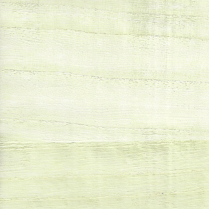 Виниловые обои Natural Silhouettes Paper&Ink NS52103