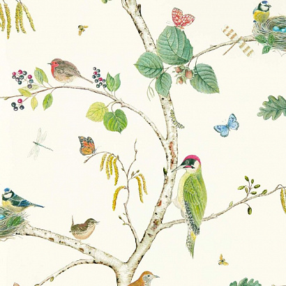 Флизелиновые обои Arboretum Sanderson 217230