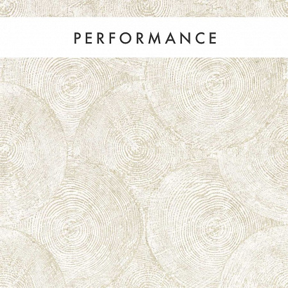 Флизелиновые обои Expressions Performance Wallcoverings Clarke&Clarke W0209/02