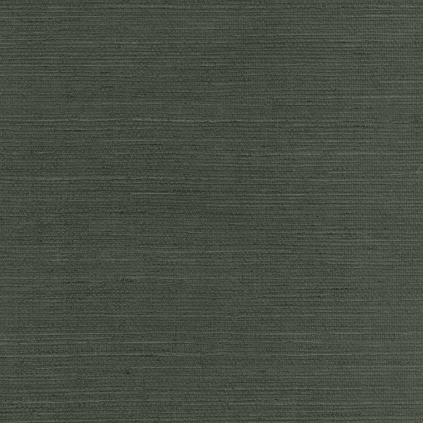 Виниловые обои Specialty Grasscloths&Veneers Paper&Ink SY21877