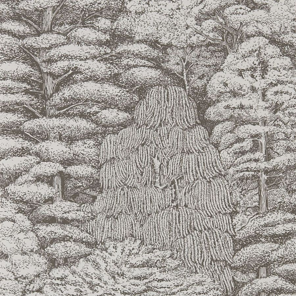 Флизелиновые обои Arboretum Sanderson 215716