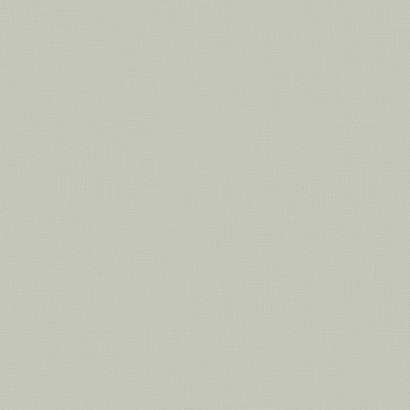 Флизелиновые обои Загадочный лес IMG5 005/1