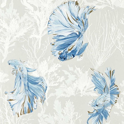 Флизелиновые обои Colour 1 Harlequin 112766