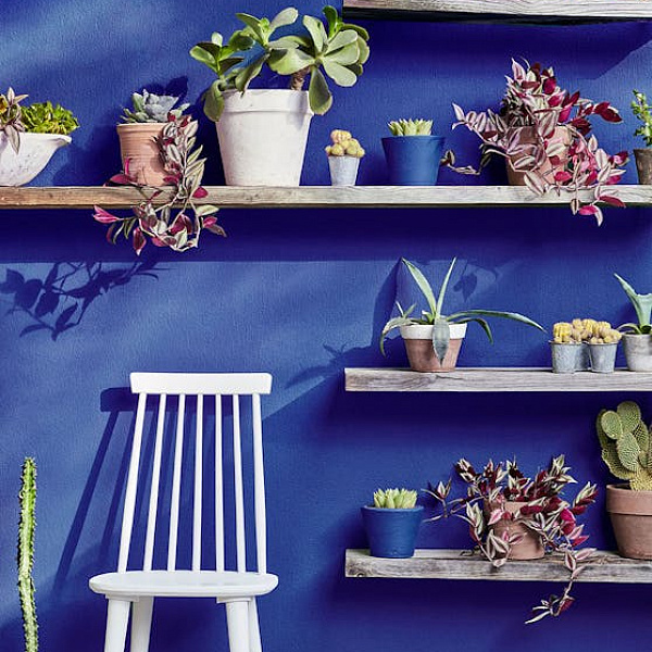 Интерьерная краска Little Greene