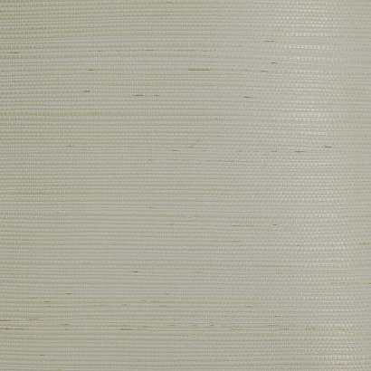 Виниловые обои Specialty Grasscloths&Veneers Paper&Ink BL72900